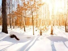 冬至晴天意味着什么意思：好兆头/寓意瑞雪兆丰年