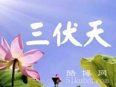 夏天入伏吃什么:这5种食物要常吃/入伏后的养生注意事项