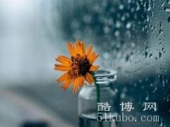 雨天幽默正能量的句子：好听风趣又搞笑(火遍朋友圈)