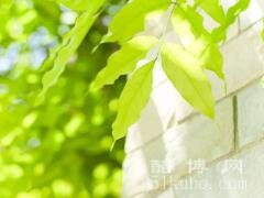 平平淡淡生活的句子：真实而精辟/治愈系情感文案推荐