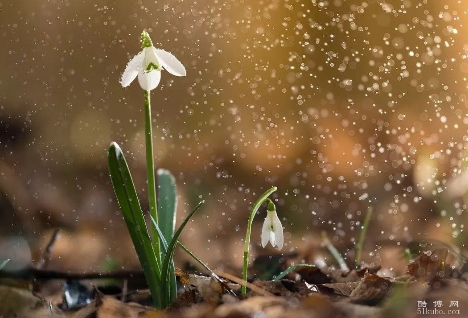 春雨惊春清谷天的意思：立春、雨水、惊蛰、春分、清明、谷雨、立春/六个节气