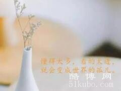 心情失落的句子：不合适，就别硬凑合了/缓解负面情绪